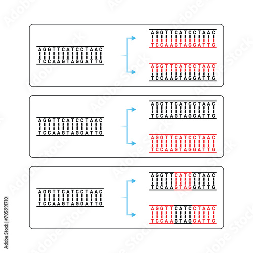 Models of DNA Replication Scientific Design. Vector Illustration.