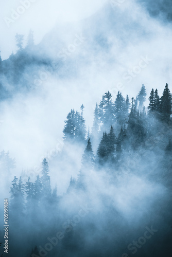 Landscape photography of a coniferous forest in dense fog in the North Cascades, moody atmosphere, copy space, negative space, horizontal © Victoria Nefedova