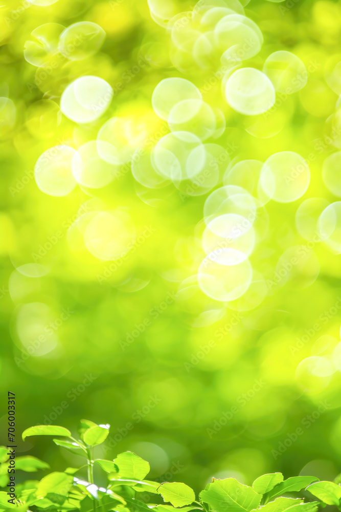 Fototapeta premium abstract bokeh background