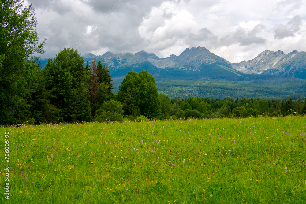 Fototapeta premium View of Tatra Mountains in Slovakia