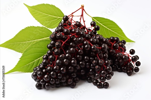 Premium quality image featuring a cluster of ripe elderberries isolated on a pure white background
