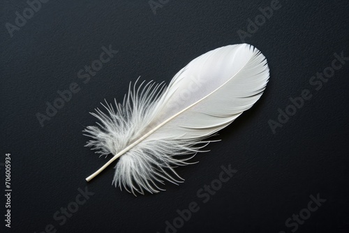 Single white feather against a dark black background
