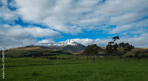 Panoramic view of ice-covered Los Ilinizas volcano over green fields with grazing cows and trees on a sunny day with blue sky