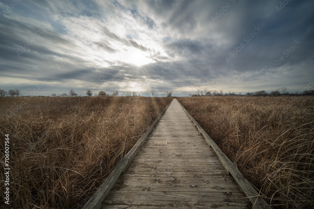 boardwalk through golden fields glows with sunrays through the clouds up above