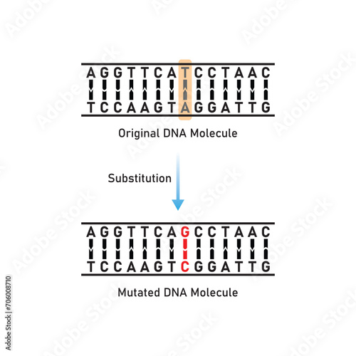 Substitution Mutation Scientific Design. Vector Illustration.