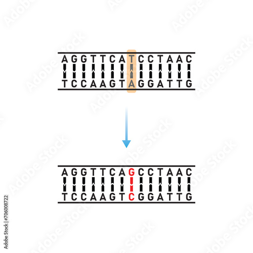 Substitution Mutation Scientific Design. Vector Illustration.