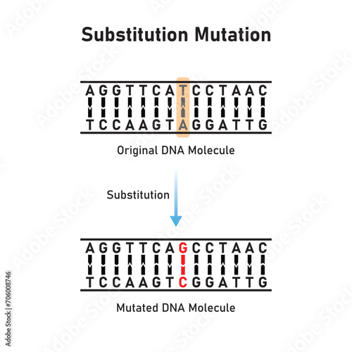 Substitution Mutation Scientific Design. Vector Illustration.