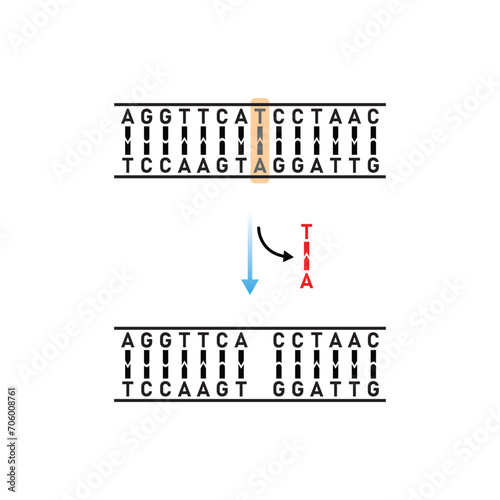 Deletion Mutation Scientific Design. Vector Illustration.