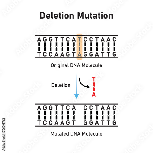 Deletion Mutation Scientific Design. Vector Illustration.