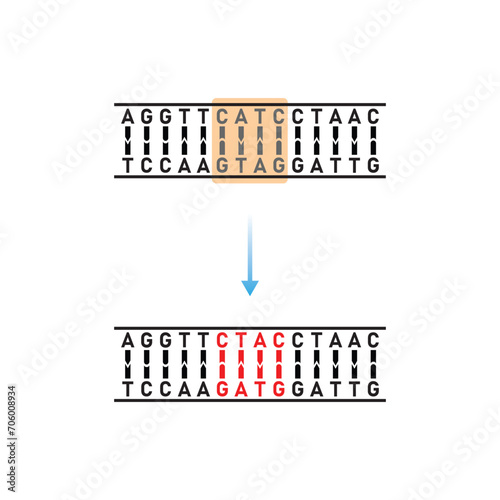 Inversion Mutation Scientific Design. Vector Illustration.