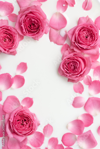 Pink roses and petals in milk bath. Vertical floral poster. Selective soft focus, copy space