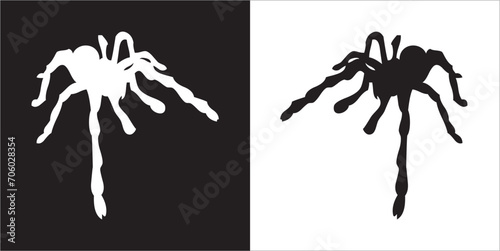Illustration vector graphics of spider icon