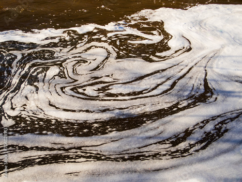 Swirls of organic matter gather on the surface of a creek in a calm eddy photo