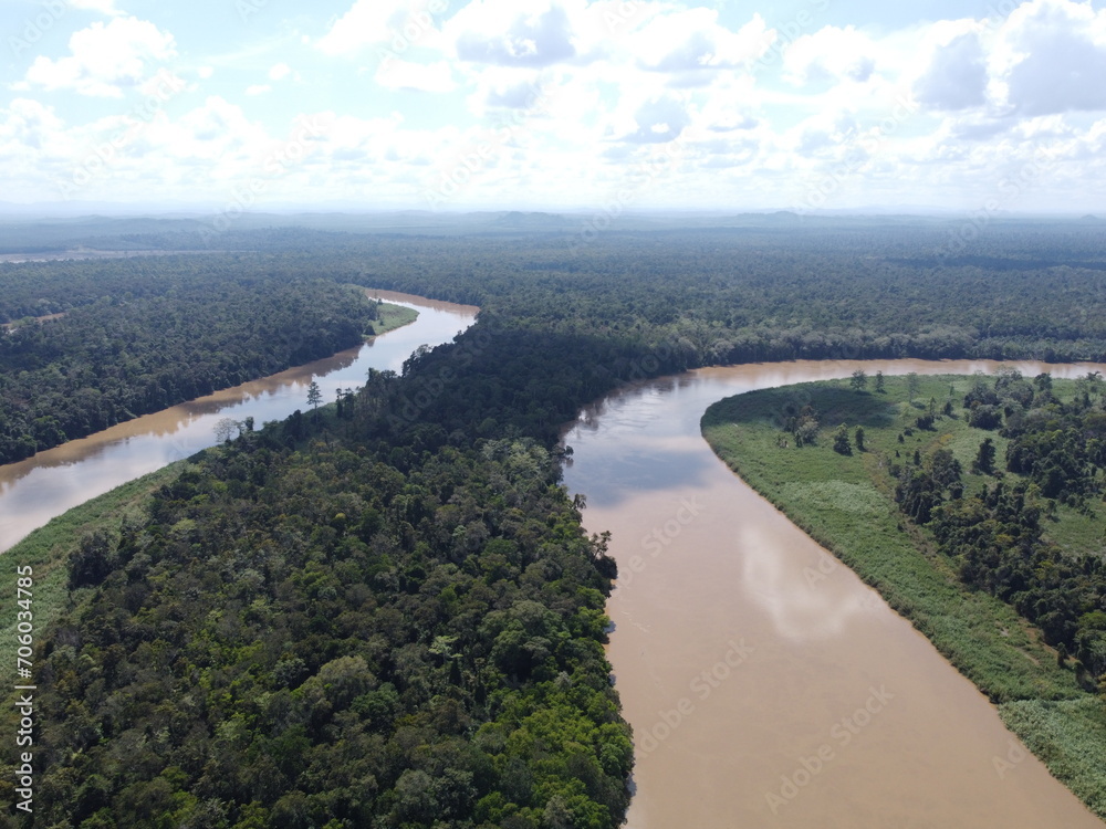 The Kinabatangan river is one of the best and most easily accessible places to see wildlife in Asia! Including so much of Sabah's most sought after wildlife: Orang-utans, proboscis monkeys.