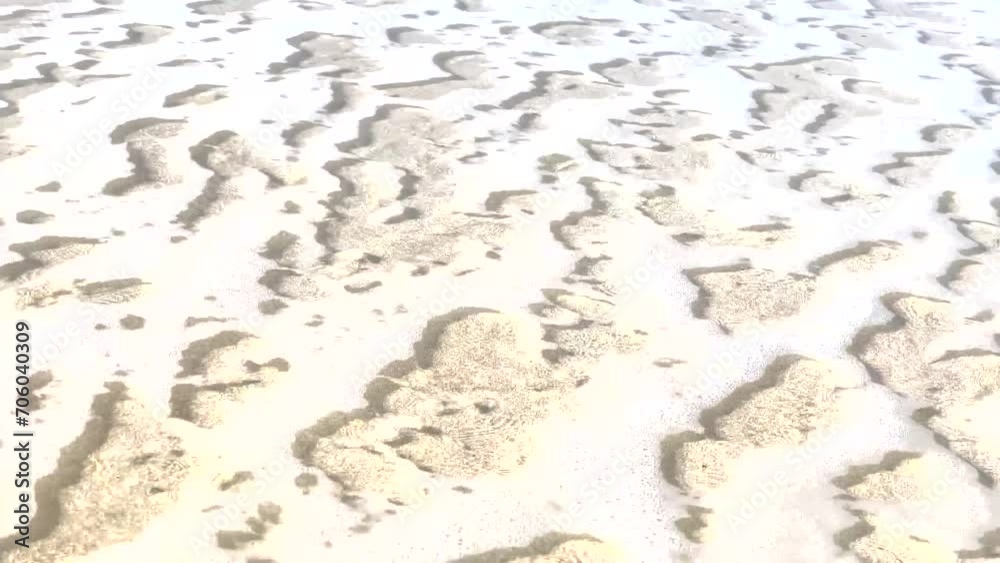 Ocean Waves Crashing On The Shore With Scattered Seashells Ocean Waves Crashing On The Shore With Scattered Seashells