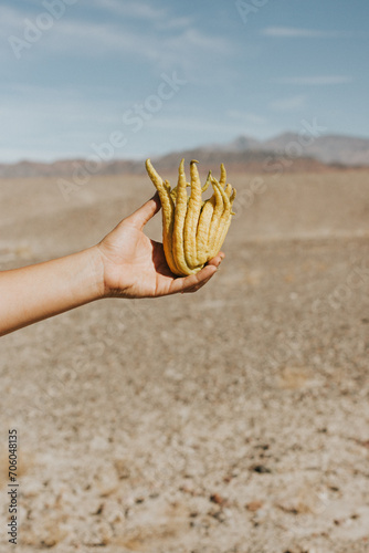 Buddha's Hand Yellow Fruit photo