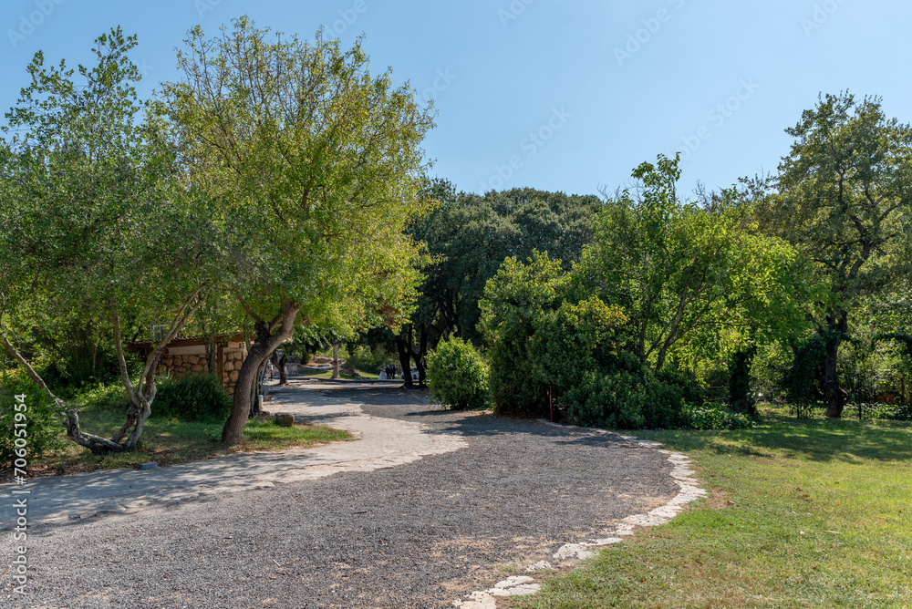 View of the trees path and grass at Bet She'arim National Park in Kiryat Tivon, Israel.