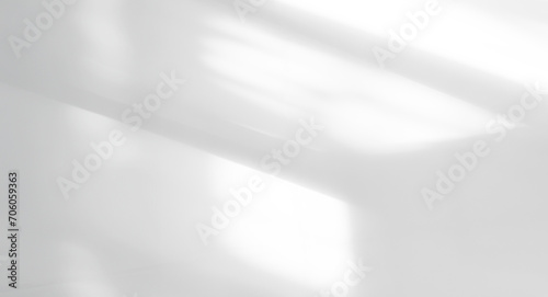 Shadow Background Sunlight Wall Light White Backdrop Plant Overlay Sunlight Mockup Sun Minimal Gray Template Summer Black Photography Modern Floor 3d Bg Cement Minimal Product Empty Vintage Surface.