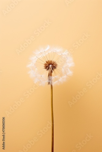 A single dandelion seed against a muted color background  AI generated illustration