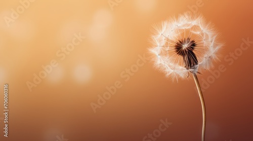 A single dandelion seed against a muted color background  AI generated illustration