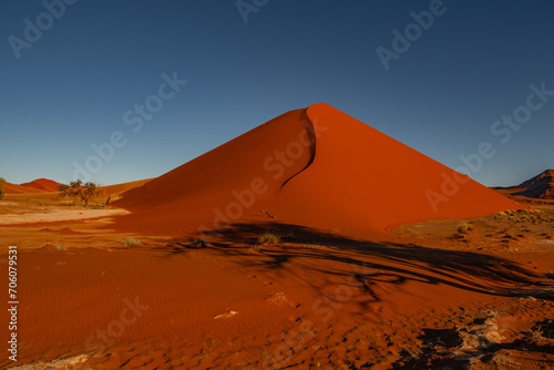 huge sand dunes in the Namib Desert with trees in the foreground of Namibia © vaclav