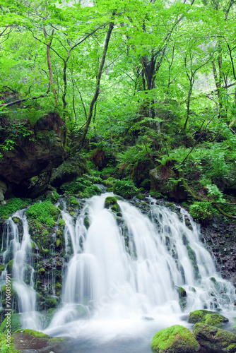 緑の苔と元滝伏流水 © kiyo