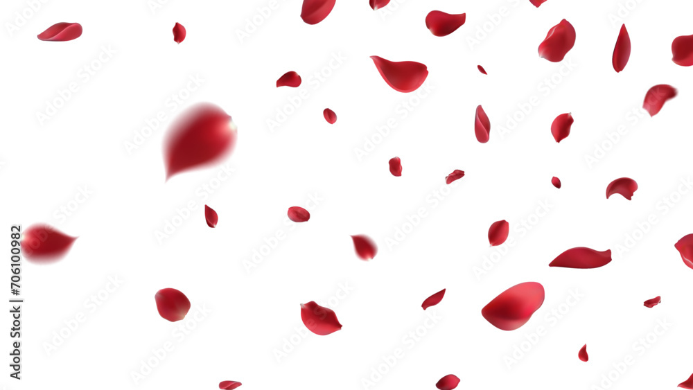 Valentine's day Vector red symbols of love border for romantic banner or Red rose petals will fall on abstract floral background with gorgeous rose greeting card design. on transparent background