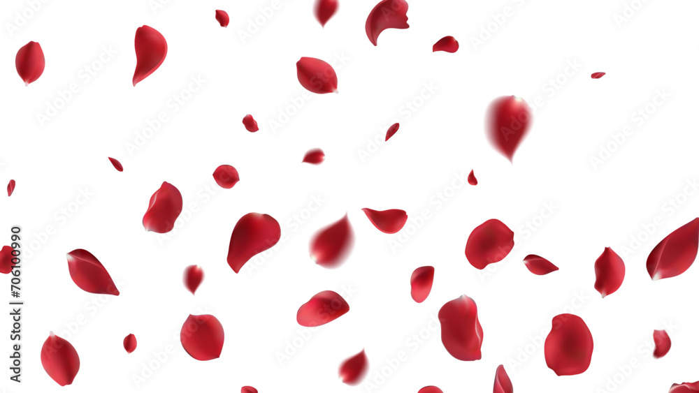 Valentine's day Vector red symbols of love border for romantic banner or Red rose petals will fall on abstract floral background with gorgeous rose greeting card design. on transparent background