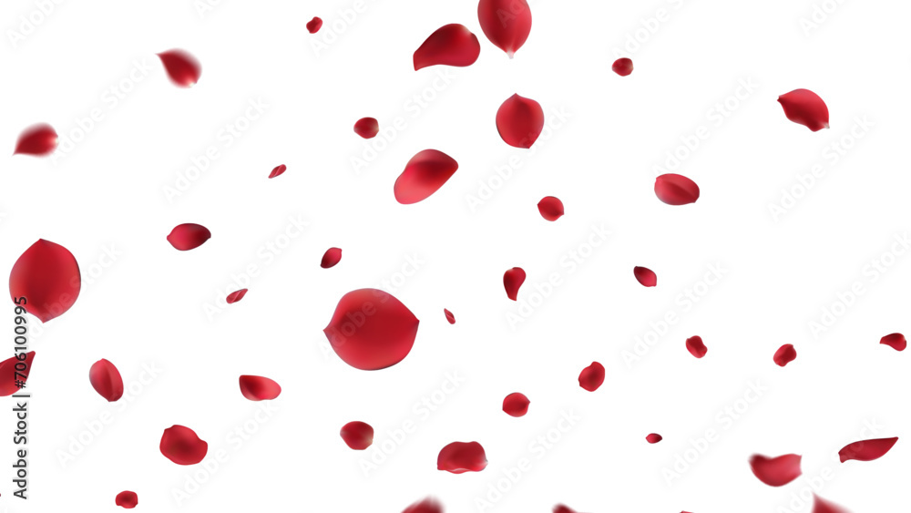 Valentine's day Vector red symbols of love border for romantic banner or Red rose petals will fall on abstract floral background with gorgeous rose greeting card design. on transparent background Valentine's day Vector red symbols of love border for romantic banner or Red rose petals will fall on abstract floral background with gorgeous rose greeting card design. on transparent background