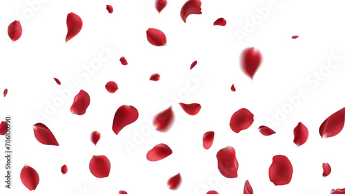 Valentine's day Vector red symbols of love border for romantic banner or Red rose petals will fall on abstract floral background with gorgeous rose greeting card design. on transparent background #706100990