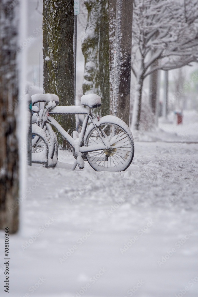 Bicycle covered in snow on a sidewalk by the trees during the snowstorm 