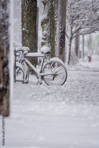 Bicycle covered in snow on a sidewalk by the trees during the snowstorm  © Marina