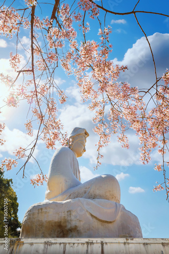 Ryozen Kannon Temple in Kyoto, Japan during full bloom cherry blossom sakura. photo