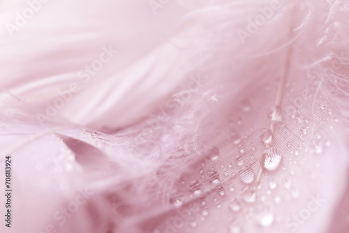 Fluffy pink feathers with water drops as background, closeup