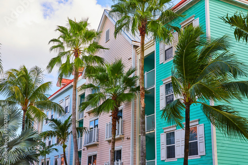 Tropical Urban Charm: Colorful Buildings and Palm Trees in Nassau