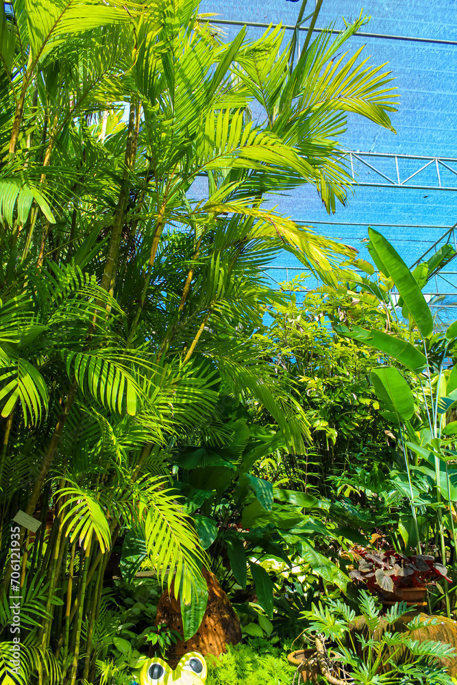 Nongnooch Tropical Botanical Garden is a very popular tourist destination Nongnooch Tropical Botanical Garden is a very popular tourist destination