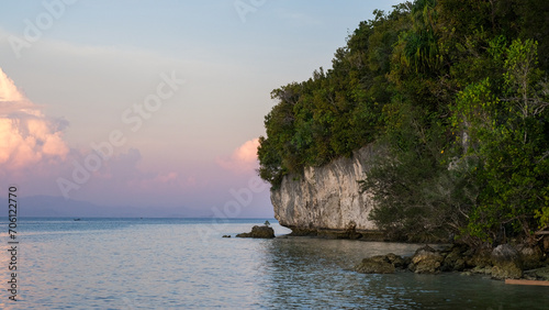 Scenic view of steep cliffs and rainforest trees with pink sky sunset on tropical island in Raja Ampat, West Papua, Indonesia
