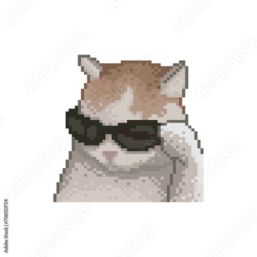 Cute kitten with glasses, pixel art meme photo