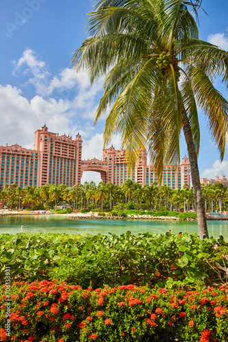 Luxury Tropical Resort with Lush Palms and Ornate Architecture, Bahamas photo