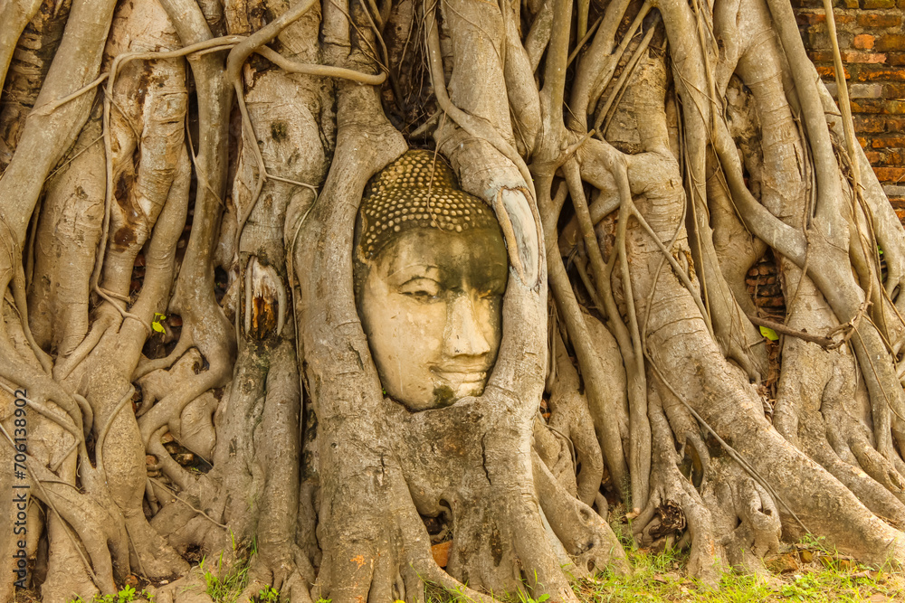 Buddha head embedded in a banyan tree at Wat Mahathat Buddha head embedded in a banyan tree at Wat Mahathat