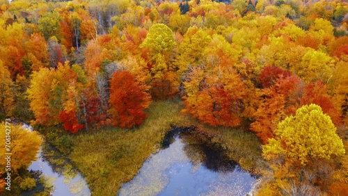A drone flight over a forest and a pond in the middle of autumn.