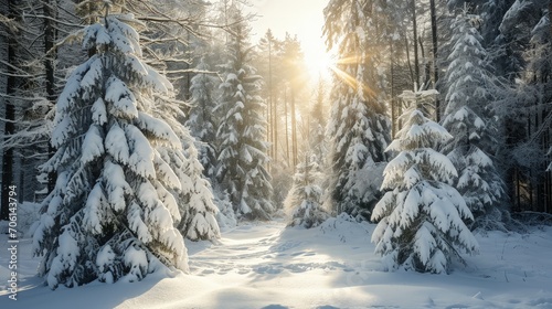 Serene beauty of winter in a snow-covered forest at sunrise