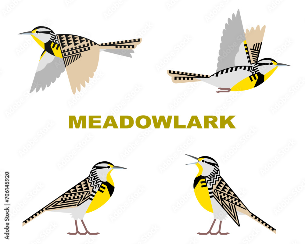 Naklejka premium ニシマキバドリのベクターイラスト