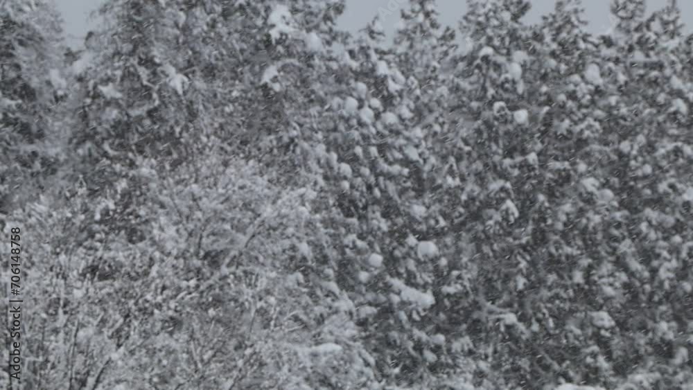 山と森林に降る雪 冬の風景 イメージ 山と森林に降る雪 冬の風景 イメージ