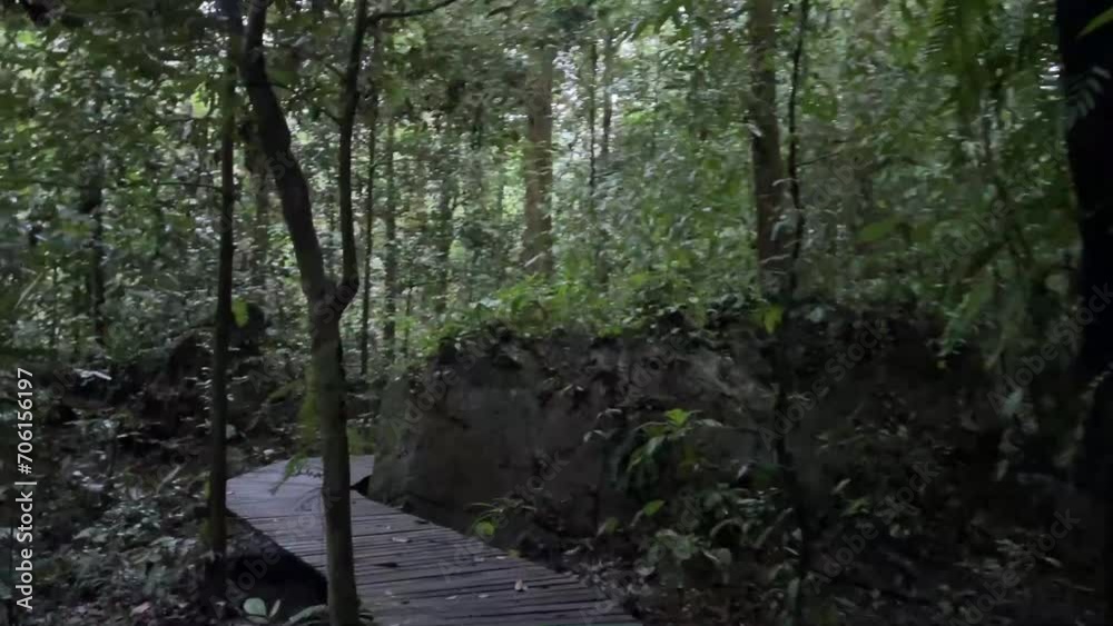 The Mulu canopy walk tour at Gunung Mulu National Park The Mulu canopy walk tour at Gunung Mulu National Park