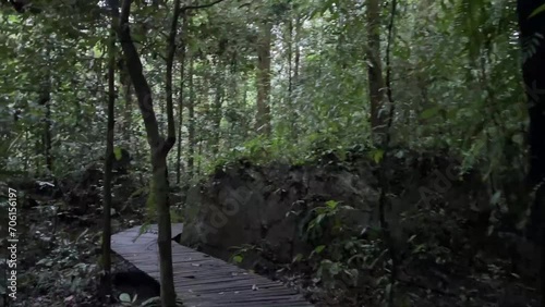 The Mulu canopy walk tour at Gunung Mulu National Park