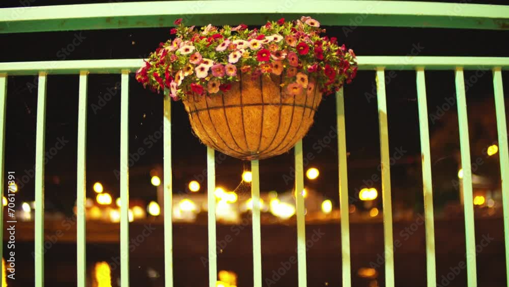 Flowers on ramp at night / Promenade des capitaines Matane / Front view