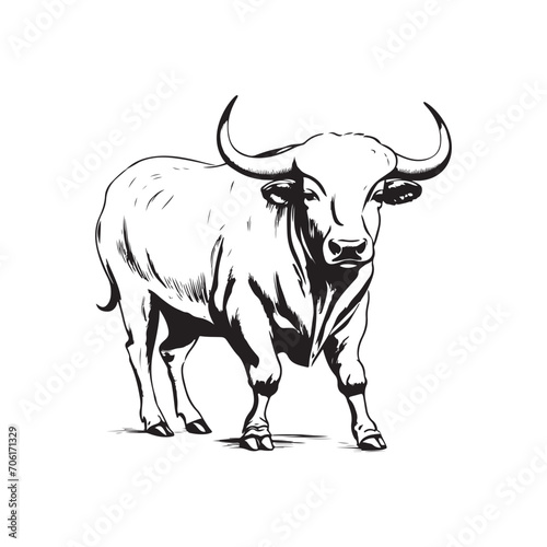 Cow Image Vector  Illustration Of a Cow