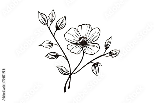 Minimalistic vintage line art floral design isolated on a Transparent background. Generative AI