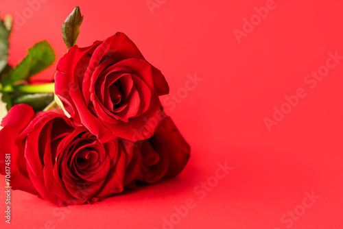 Bouquet of beautiful rose flowers on red background. Valentine s Day celebration